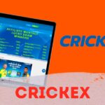 Everything You Need to Know About Crickex