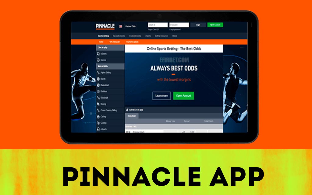 PINNACLE is cricket betting apps in India